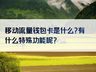 移动流量钱包卡是什么？有什么特殊功能呢？