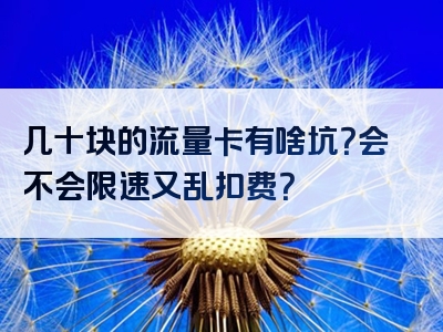 几十块的流量卡有啥坑？会不会限速又乱扣费？