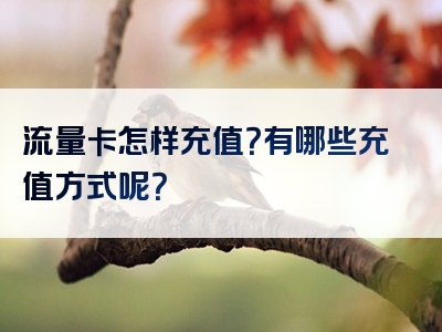 流量卡怎样充值？有哪些充值方式呢？