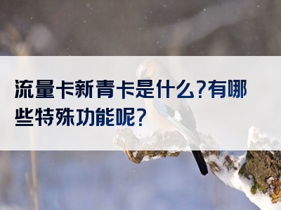 流量卡新青卡是什么？有哪些特殊功能呢？