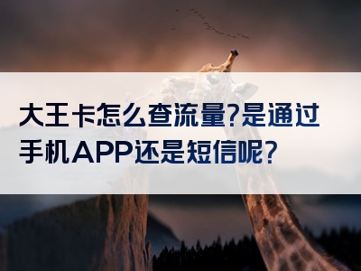 大王卡怎么查流量？是通过手机APP还是短信呢？