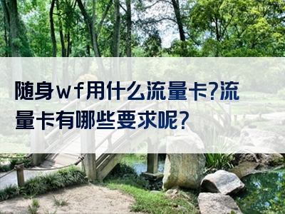 随身wf用什么流量卡？流量卡有哪些要求呢？