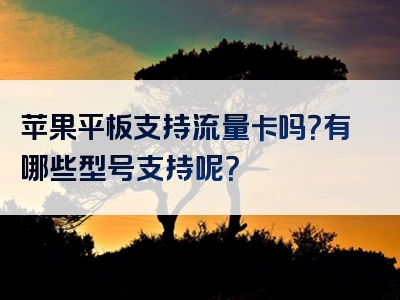 苹果平板支持流量卡吗？有哪些型号支持呢？