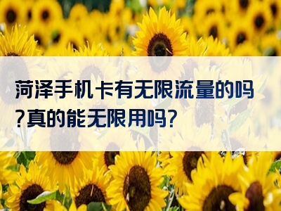 菏泽手机卡有无限流量的吗？真的能无限用吗？