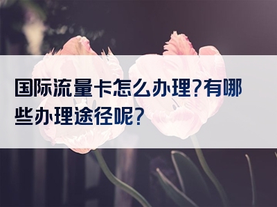 国际流量卡怎么办理？有哪些办理途径呢？