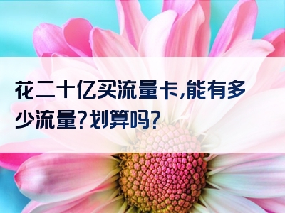 花二十亿买流量卡，能有多少流量？划算吗？