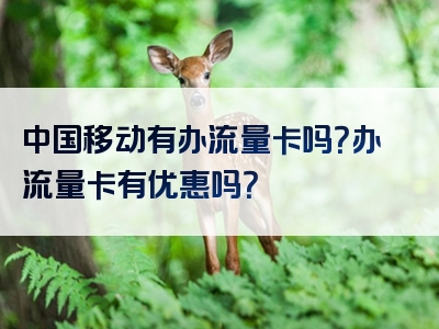 中国移动有办流量卡吗？办流量卡有优惠吗？