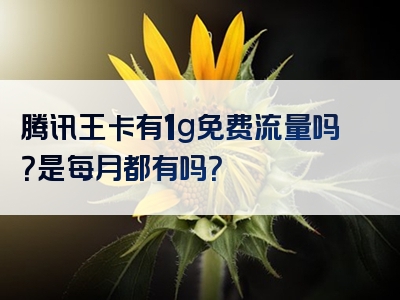 腾讯王卡有1g免费流量吗？是每月都有吗？