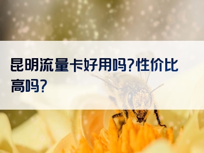昆明流量卡好用吗？性价比高吗？