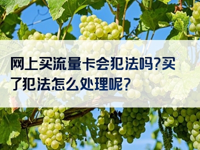 网上买流量卡会犯法吗？买了犯法怎么处理呢？