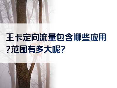 王卡定向流量包含哪些应用？范围有多大呢？