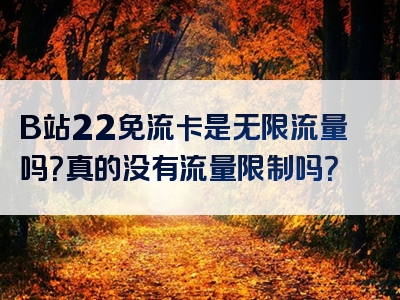 B站22免流卡是无限流量吗？真的没有流量限制吗？