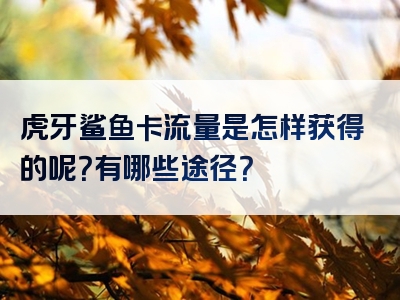 虎牙鲨鱼卡流量是怎样获得的呢？有哪些途径？