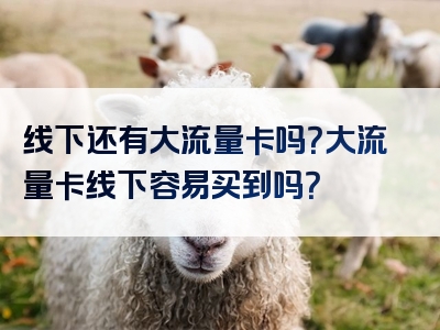 线下还有大流量卡吗？大流量卡线下容易买到吗？