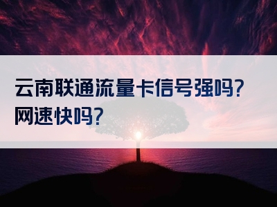 云南联通流量卡信号强吗？网速快吗？