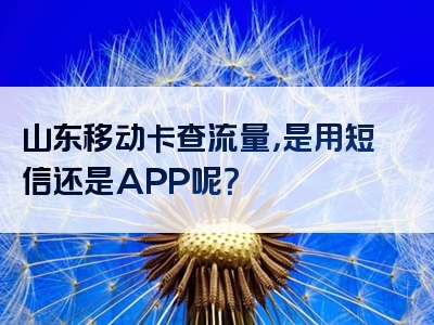 山东移动卡查流量，是用短信还是APP呢？