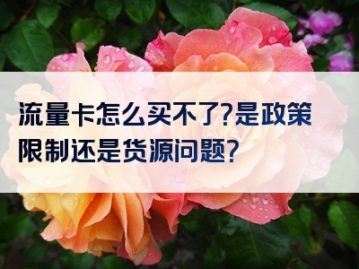 流量卡怎么买不了？是政策限制还是货源问题？
