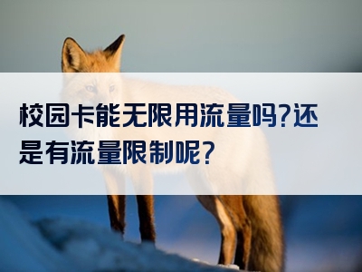 校园卡能无限用流量吗？还是有流量限制呢？
