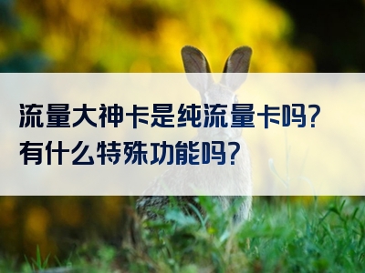 流量大神卡是纯流量卡吗？有什么特殊功能吗？