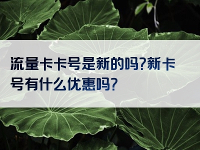 流量卡卡号是新的吗？新卡号有什么优惠吗？