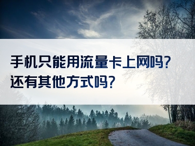 手机只能用流量卡上网吗？还有其他方式吗？