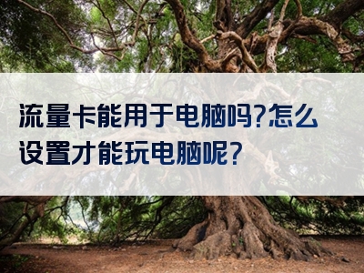 流量卡能用于电脑吗？怎么设置才能玩电脑呢？