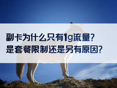 副卡为什么只有1g流量？是套餐限制还是另有原因？