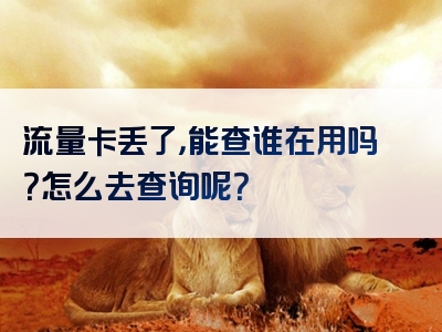 流量卡丢了，能查谁在用吗？怎么去查询呢？