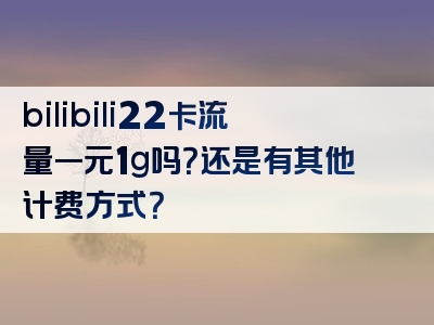 bilibili22卡流量一元1g吗？还是有其他计费方式？