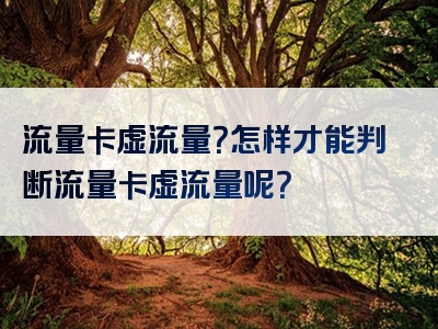 流量卡虚流量？怎样才能判断流量卡虚流量呢？