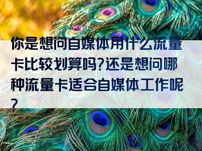 你是想问自媒体用什么流量卡比较划算吗？还是想问哪种流量卡适合自媒体工作呢？