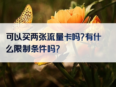 可以买两张流量卡吗？有什么限制条件吗？