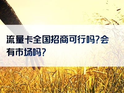 流量卡全国招商可行吗？会有市场吗？
