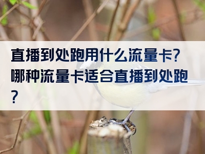 直播到处跑用什么流量卡？哪种流量卡适合直播到处跑？