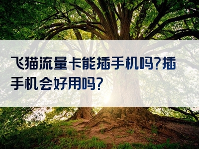 飞猫流量卡能插手机吗？插手机会好用吗？