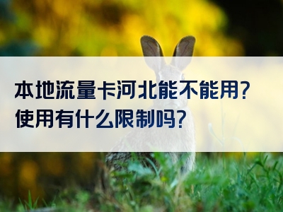 本地流量卡河北能不能用？使用有什么限制吗？