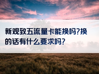 新观致五流量卡能换吗？换的话有什么要求吗？