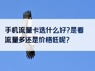 手机流量卡选什么好？是看流量多还是价格低呢？