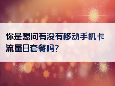 你是想问有没有移动手机卡流量日套餐吗？