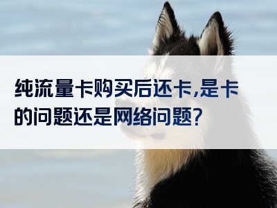 纯流量卡购买后还卡，是卡的问题还是网络问题？