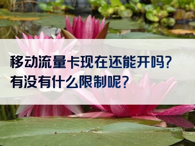 移动流量卡现在还能开吗？有没有什么限制呢？
