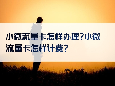 小微流量卡怎样办理？小微流量卡怎样计费？
