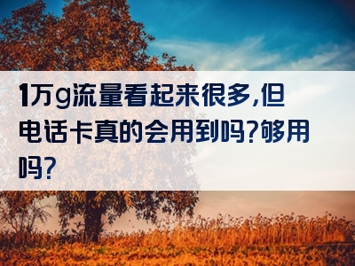 1万g流量看起来很多，但电话卡真的会用到吗？够用吗？