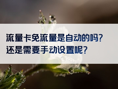 流量卡免流量是自动的吗？还是需要手动设置呢？