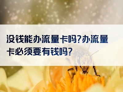 没钱能办流量卡吗？办流量卡必须要有钱吗？
