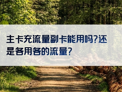 主卡充流量副卡能用吗？还是各用各的流量？