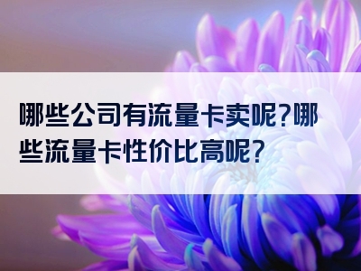 哪些公司有流量卡卖呢？哪些流量卡性价比高呢？