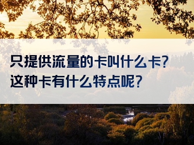 只提供流量的卡叫什么卡？这种卡有什么特点呢？