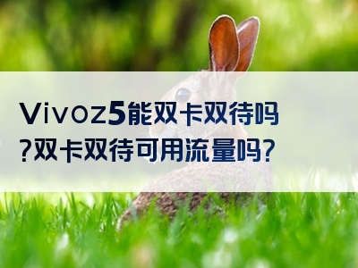 Vivoz5能双卡双待吗？双卡双待可用流量吗？