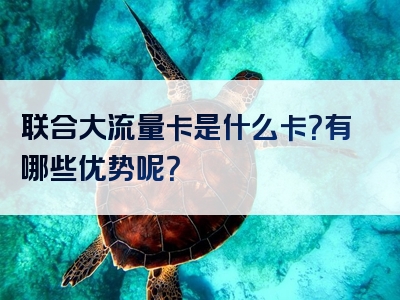 联合大流量卡是什么卡？有哪些优势呢？